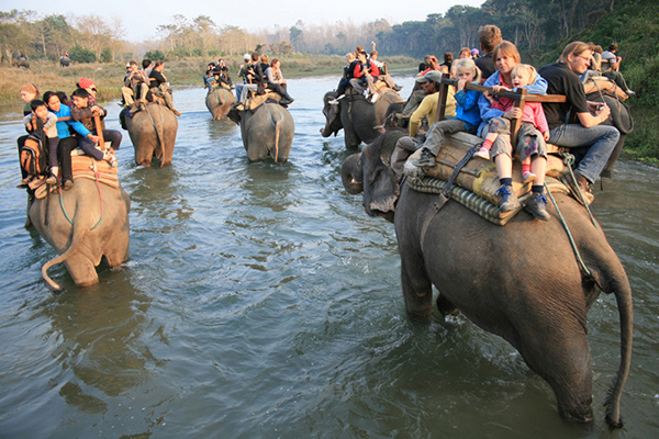 elephant ride safari